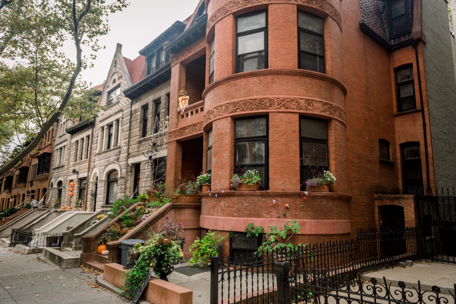 brooklyn-typical-facades-row-houses-in-an-iconic-neighborhood-of